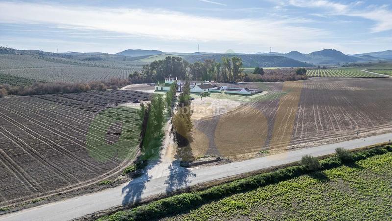 Foto 4660c12d-09d0-471a-8eb7-f9fb0e2db6ef. Casale in polígono pollitos 62 in Puebla de Cazalla (La)