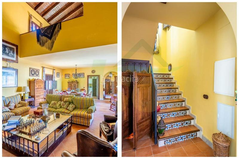 Foto 4bf6f19d-9a44-4d7b-8358-2e2aab46d9b5. Casale in polígono pollitos 62 in Puebla de Cazalla (La)