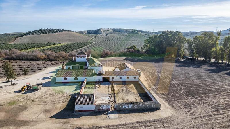 Foto 4f2ac093-ea91-4d36-b543-fcb4068d12ad. Casale in polígono pollitos 62 in Puebla de Cazalla (La)