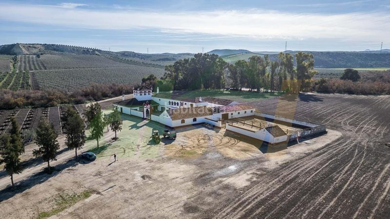 Foto 4ff9cb9e-9ec4-4cbd-a795-0d3935665758. Casale in polígono pollitos 62 in Puebla de Cazalla (La)