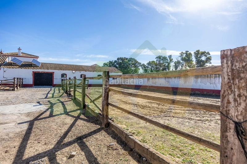 Foto 5142528b-fd82-4924-983c-aab1ab42b38a. Casale in polígono pollitos 62 in Puebla de Cazalla (La)