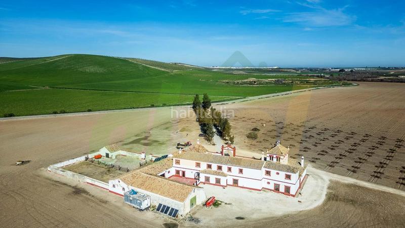 Foto 53af04a2-62de-4623-8020-6bc556612393. Casale in polígono pollitos 62 in Puebla de Cazalla (La)