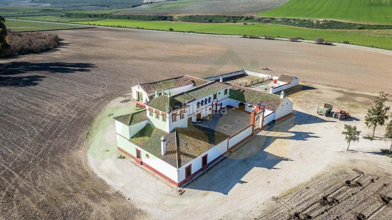 Foto 58b1006e-f0f4-4ead-8538-ba5cae22cbad. Casale in polígono pollitos 62 in Puebla de Cazalla (La)