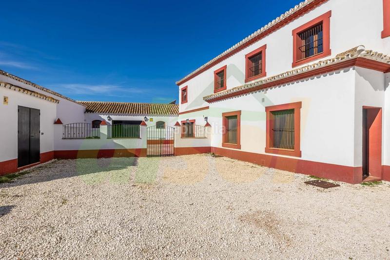 Foto 60758c6b-544f-4cb1-9b27-49bfe234bdab. Casale in polígono pollitos 62 in Puebla de Cazalla (La)