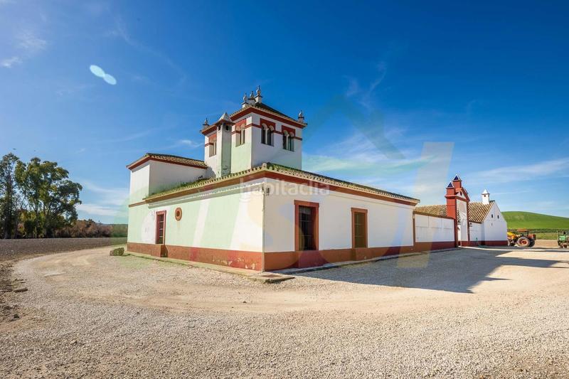 Foto 74c0ee8d-07b8-44cd-b1f8-3126c86e2150. Casale in polígono pollitos 62 in Puebla de Cazalla (La)