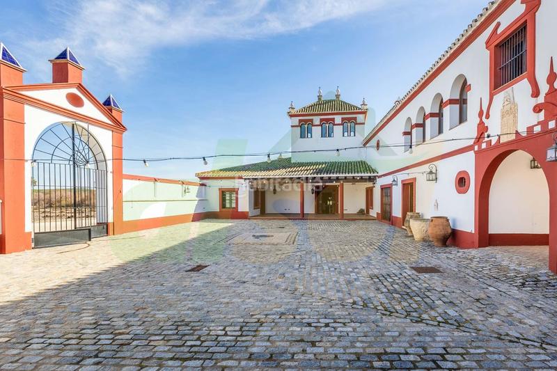 Foto bb87bcb7-ed3e-44f7-9523-c3c8aa8deca3. Casale in polígono pollitos 62 in Puebla de Cazalla (La)