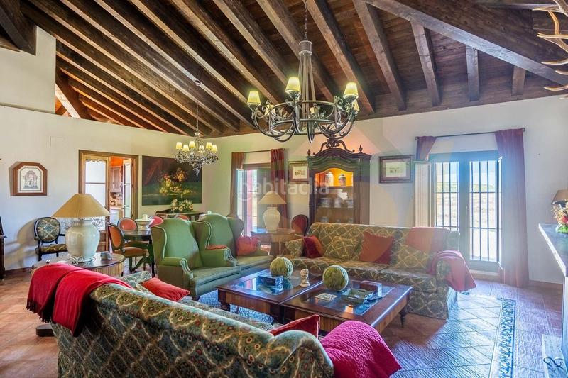 Foto bf543a7e-2b8e-4bd1-bda0-e41ae798a5ac. Casale in polígono pollitos 62 in Puebla de Cazalla (La)