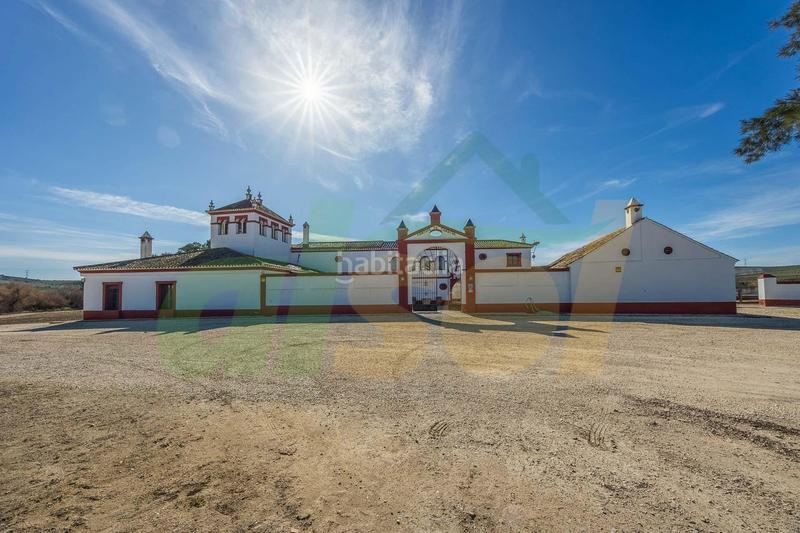 Foto e841237f-6eb4-4a6f-96e2-813fe82239e6. Casale in polígono pollitos 62 in Puebla de Cazalla (La)