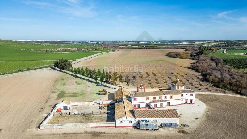 Foto f169f01a-9655-427a-972b-2090802207bb. Casale in polígono pollitos 62 in Puebla de Cazalla (La)