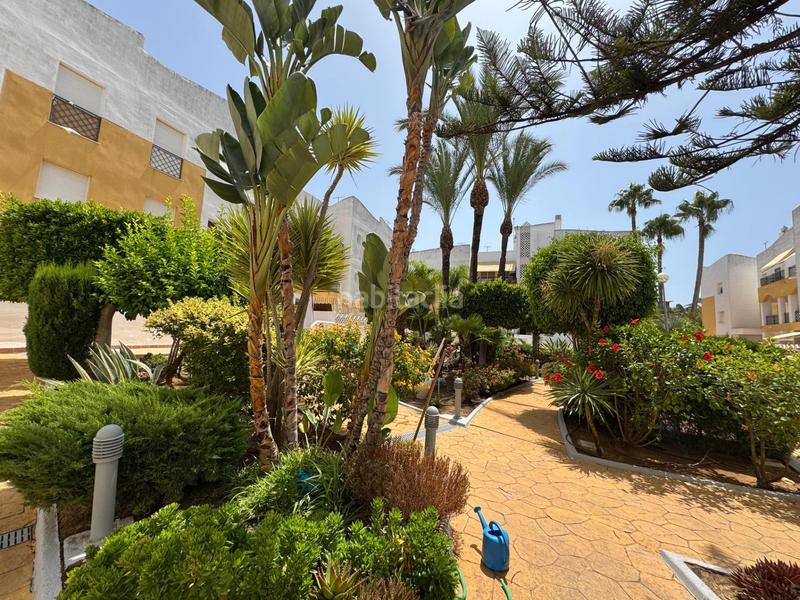 Foto 5b676c4f-f1b5-4bc9-a869-b0fafb7a1018. Planta baixa amb calefacció aparcament a Costa Ballena - Largo norte Rota