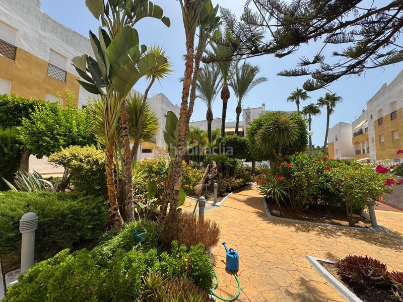 Foto 8b472577-5dae-4470-bde7-94183dbbc59a. Planta baixa amb calefacció aparcament a Costa Ballena - Largo norte Rota