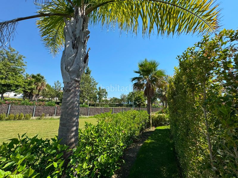 Foto 0236a8a1-2160-4c6c-ab9f-399c9742a6a3. Apartament amb aparcament piscina a Las Tres Piedras - Costa Ballena Chipiona