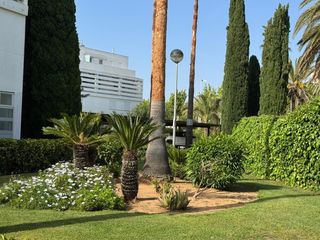 Appartement in Costa Ballena - Largo norte. Encantador apartamento en playa del lar, costa ballena