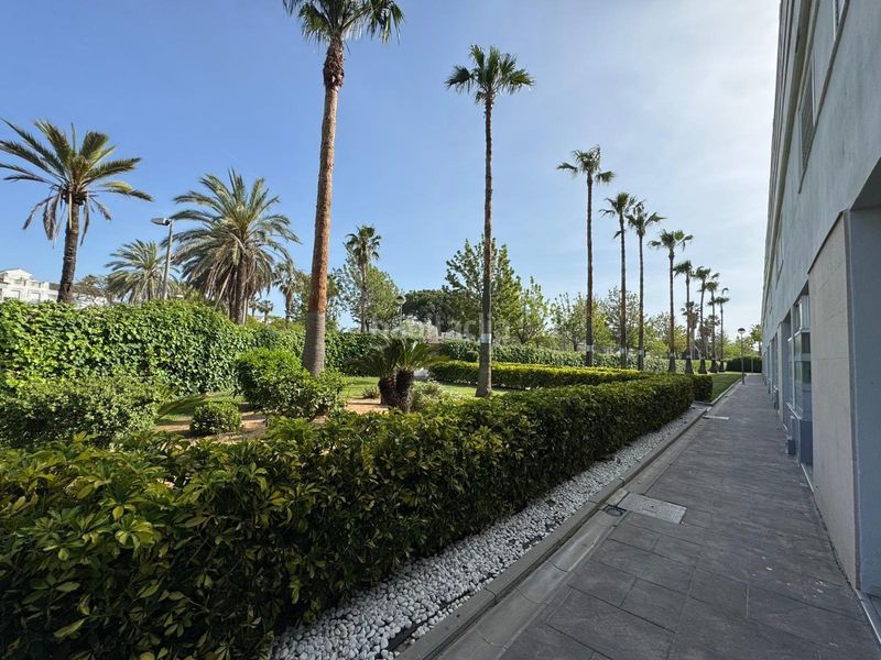Foto 530ee13b-660b-4cbd-a053-ef7240a24b8a. Apartament amb aparcament a Costa Ballena - Largo norte Rota