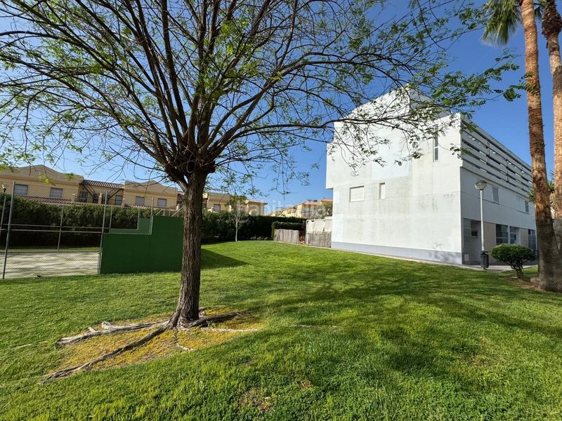 Foto 5eca0abd-3c4c-4834-8ed1-801b265f4aff. Apartament amb aparcament a Costa Ballena - Largo norte Rota
