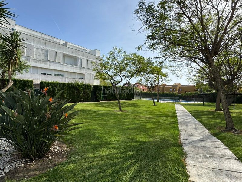 Foto 7a9dcb70-24db-4633-acc2-2a7d73b068b2. Apartament amb aparcament a Costa Ballena - Largo norte Rota