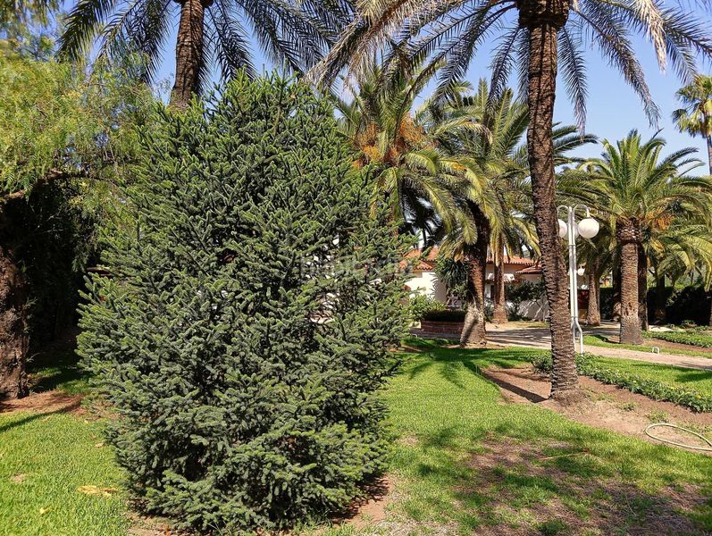Foto 4e0b7861-f937-4acf-a350-918494b69d4b. Xalet amb aparcament piscina a Bosque (El)