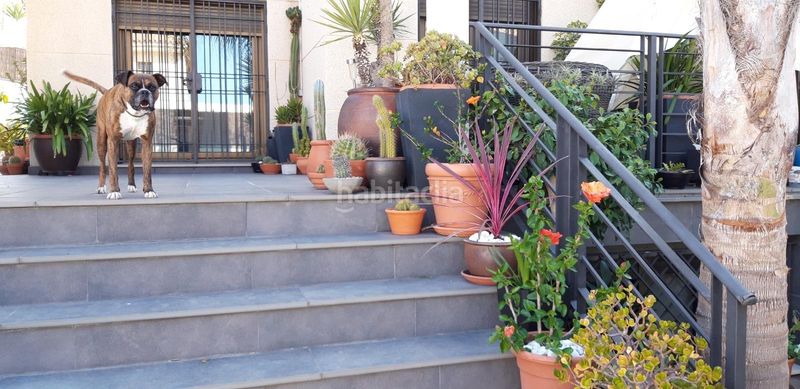 Foto 137841a3-4ff1-47fc-af2c-7a02f46b5865. Xalet amb aparcament piscina a San García Algeciras