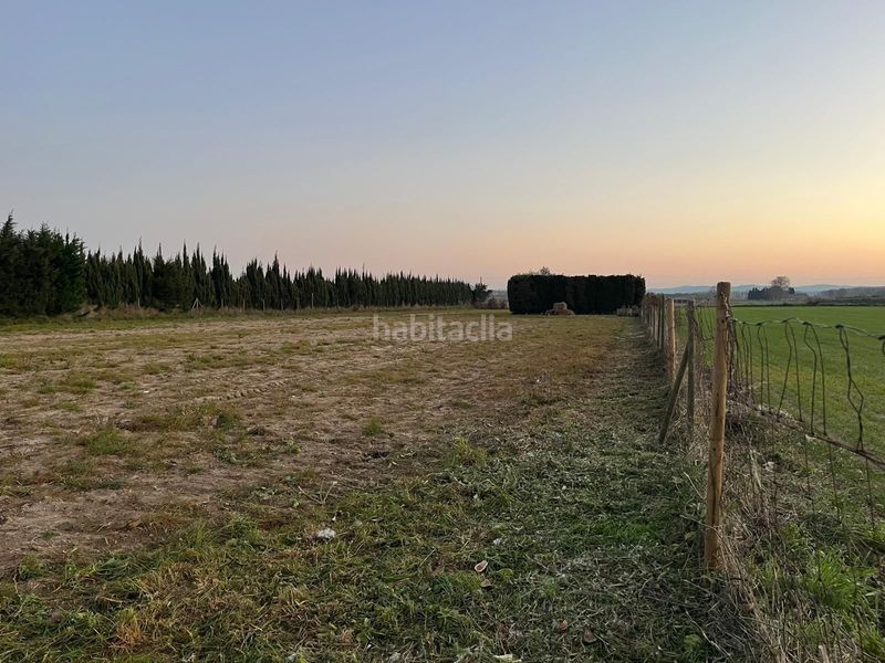 Foto 3963b776-9ad5-46fe-a3ab-5b54e79f763f. Terreny residencial a Els Griells Estartit