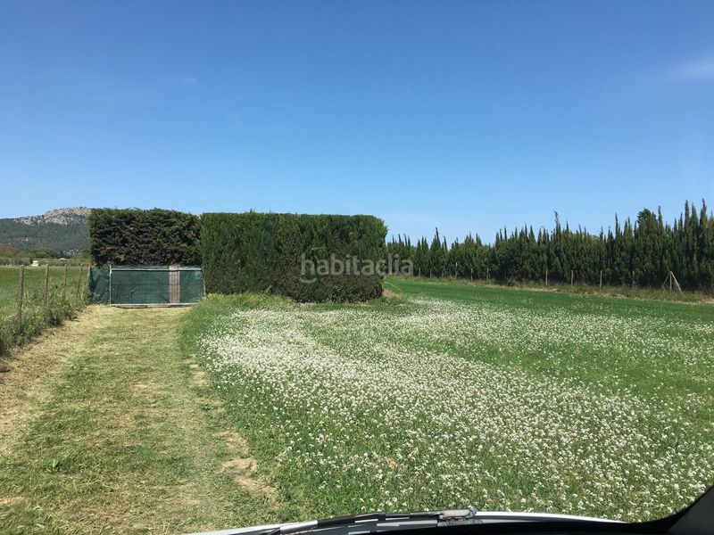 Foto f1deb8cc-f52b-47a0-b946-14ddc33f5f93. Terreny residencial a Els Griells Estartit