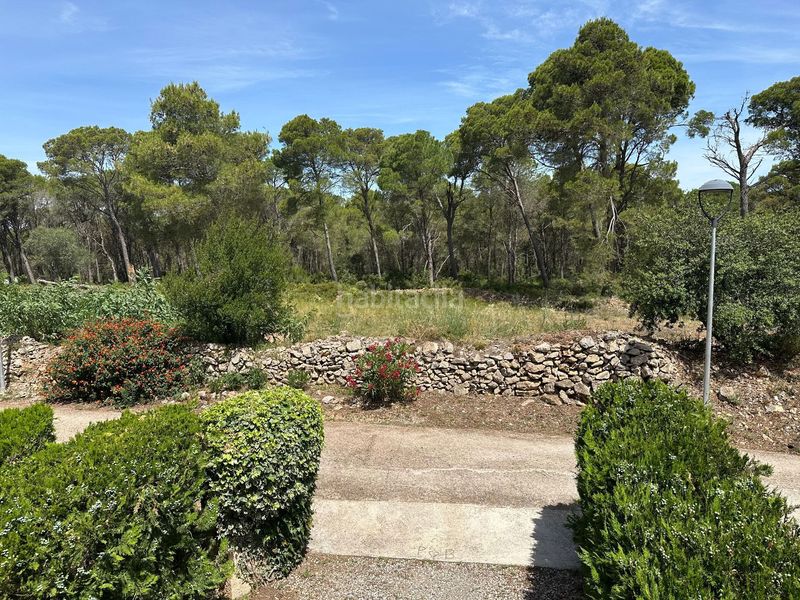 Foto 48fcf15b-cf1f-41a7-be61-530b36bc52f7. Casa adossada a Torre Vella - Torre Gran - Les Dunes Estartit