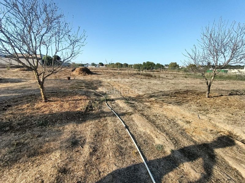 Foto 75ac28f6-2867-4c3a-be1f-39c89c1a8ff8. Xalet amb piscina a Las Lagunas - Campano Chiclana de la Frontera