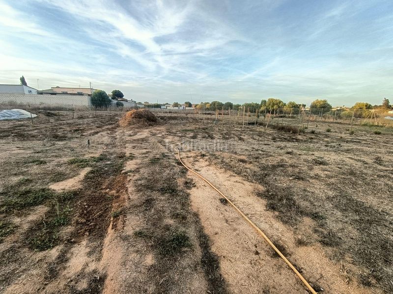Foto 97aa2490-f948-4cb8-b88f-55ce37691708. Xalet amb piscina a Las Lagunas - Campano Chiclana de la Frontera