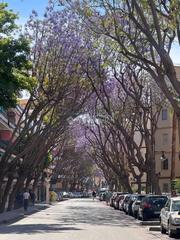 Pis a Centro ciudad. Piso en venta en fuengirola