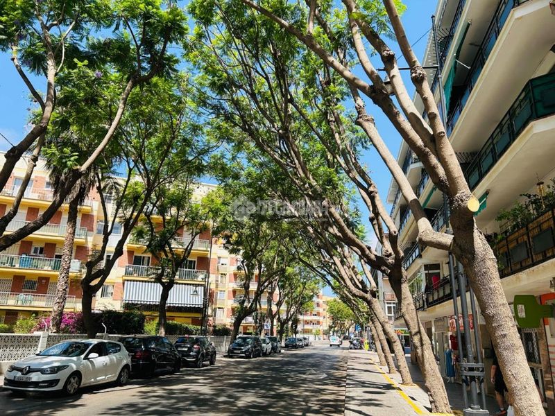 Foto 40cc2431-d624-47e1-9efa-05324e712e92. Pis a Centro ciudad Fuengirola