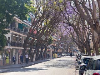 Location Appartement à Centro ciudad. Piso en alquiler en fuengirola