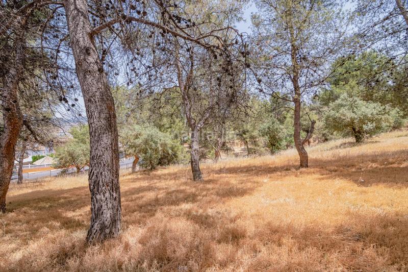 Foto c23f1b38-1a0a-49b9-919c-aa86c2120ca4. Apartament amb aparcament a La Zubia Ciudad Zubia (La)