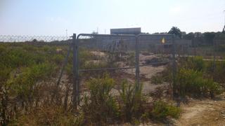 Finca rústica a Ctra Jerez-Ctra del Puerto. Parcela rustica  en la carretera de jerez