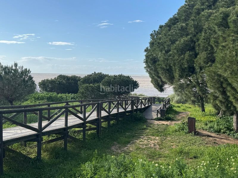 Foto 24677f60-6ed3-41fa-bf9d-33eaa6a5fa41. Xalet amb aparcament a La Jara Sanlúcar de Barrameda