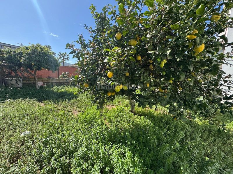 Foto 8bc5def2-7fa2-45af-9a1b-39425d3356d8. Xalet amb aparcament a La Jara Sanlúcar de Barrameda