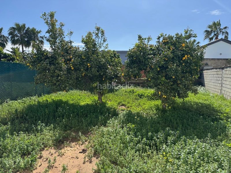 Foto e32e2f80-0ef3-4550-8cad-55724da20478. Xalet amb aparcament a La Jara Sanlúcar de Barrameda