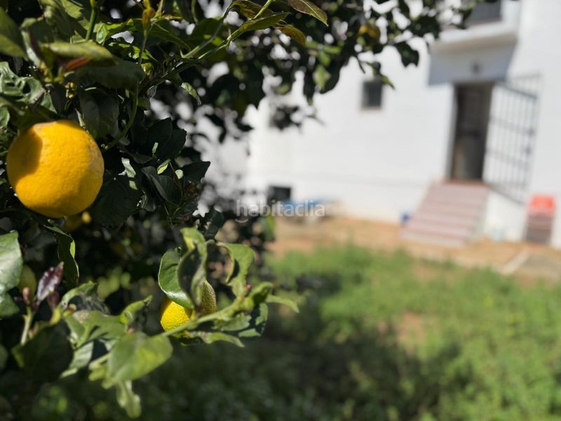 Foto f37c8813-4c78-4772-9b2b-3637eb57a42c. Xalet amb aparcament a La Jara Sanlúcar de Barrameda