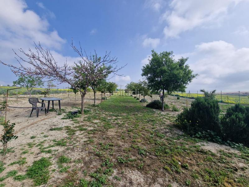 Foto 34bd8141-3bc4-48c8-bd20-22ee7012b80b. Propriété dans Centro-Calzada-Cabo Noval Sanlúcar de Barrameda