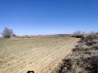 Rural plot in Lalueza