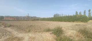 Finca rústica a Burgo de Ebro (El)