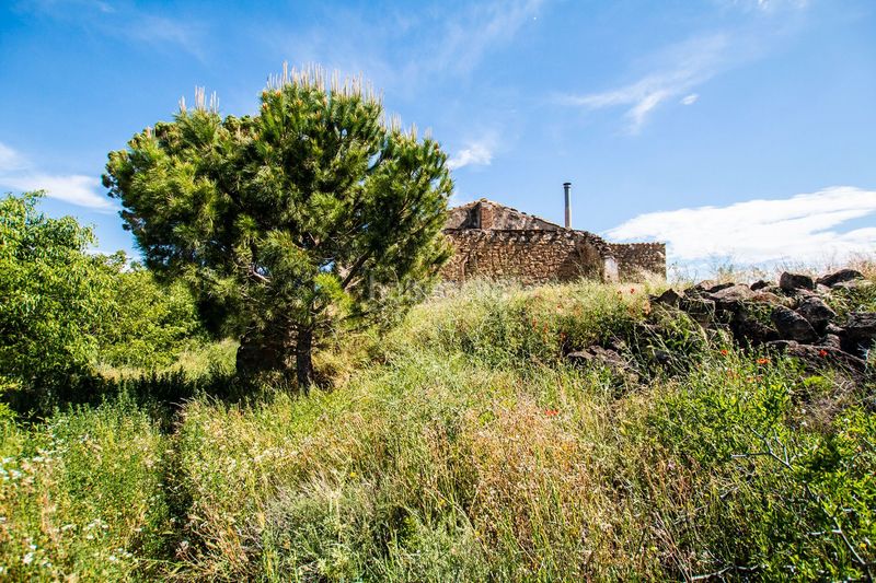 Foto 81d531fa-31f9-42d1-ab86-b80f74d21be7. Finca rústica a Caspe