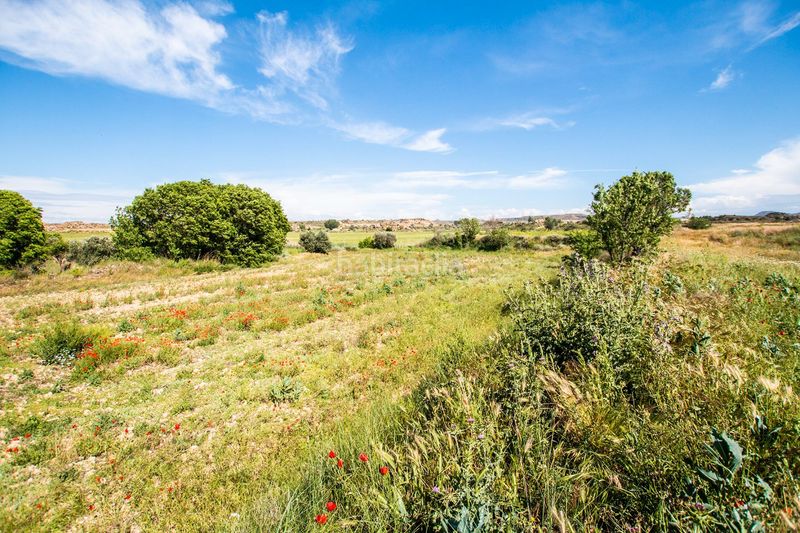 Foto a0c35748-50ab-425b-9c74-830496a3f7f4. Finca rústica a Caspe