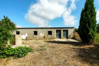 Landgut  Del plano del águila