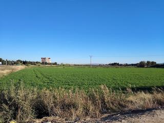 Rural plot  Avenida movera