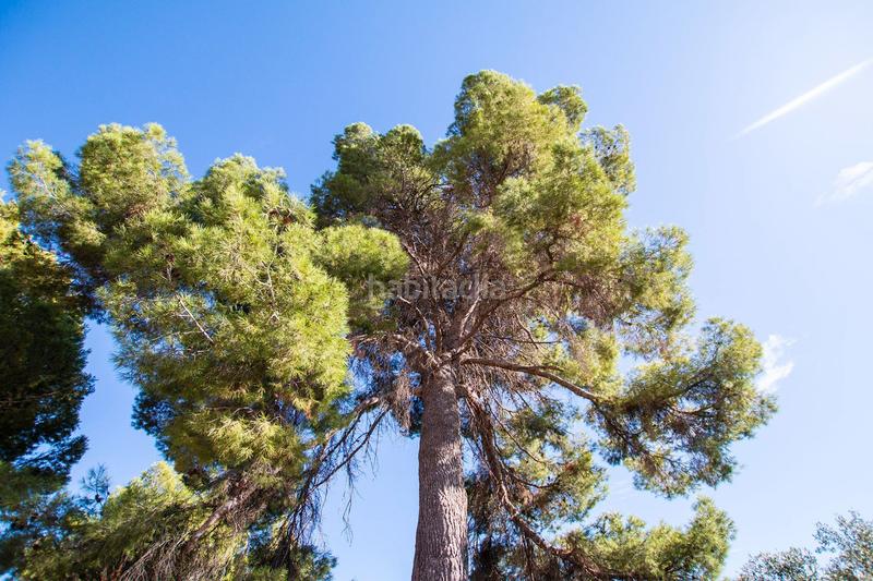 Foto 35d4e2c5-f6bf-4405-97dc-31e6f7696bab. Finca rústica a Caspe