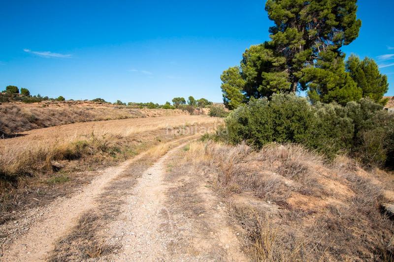 Foto e9174094-8b8e-4fb8-8584-47bd5d9e91dd. Finca rústica a Caspe