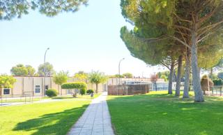 Rent Flat  Casa junio