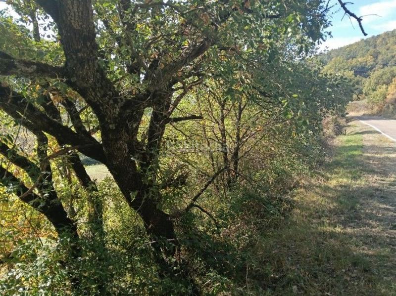 Foto 32e4dedf-ab9b-4f09-9e94-f0eefb316aef. Finca rústica a Aisa