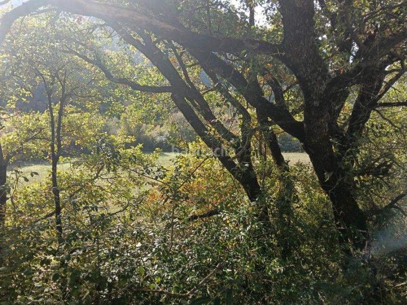 Foto dcbc2c66-06ab-468f-a6f8-71c46221cbc8. Finca rústica a Aisa