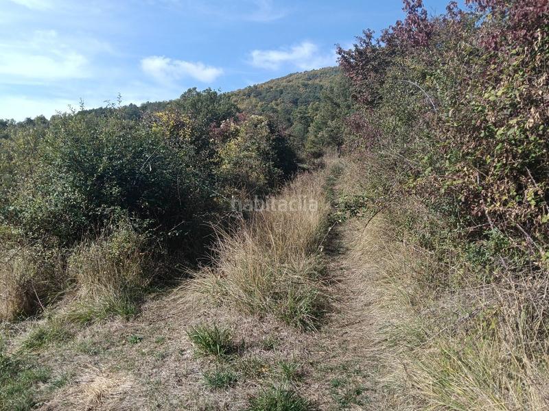 Foto e5fab11c-3937-4526-bc18-d105abfaa118. Finca rústica a Aisa