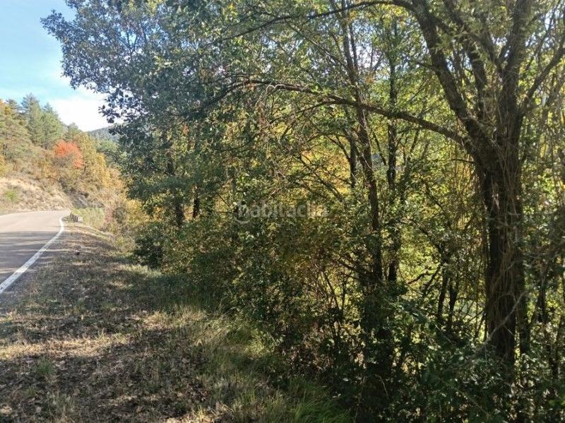 Foto f2877d23-e1e3-4692-b500-c7e147f7c4c4. Finca rústica a Aisa